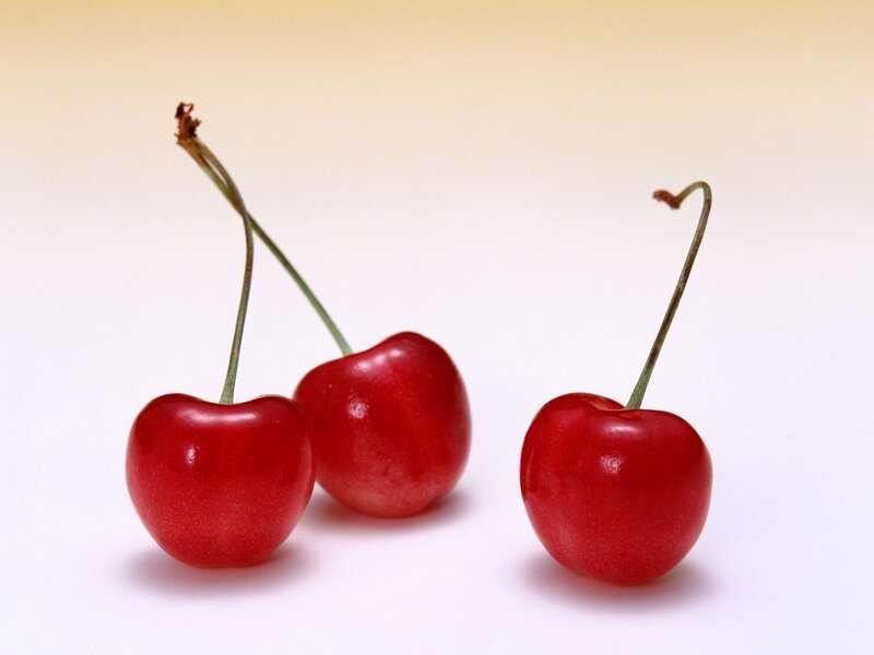 Three red cherries on white