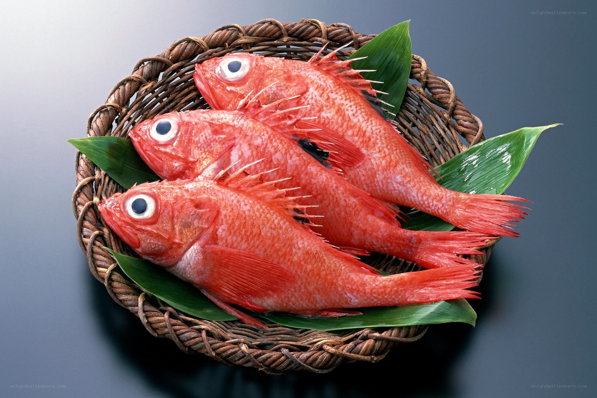 Three red fish in a basket