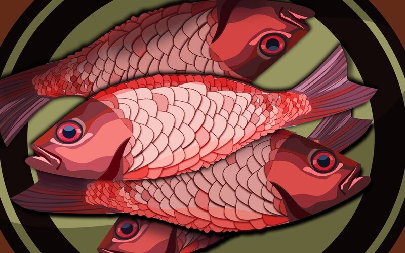Three Red Fish