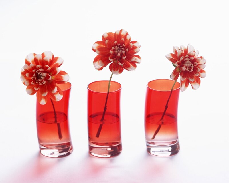 Three Red Flowers — Minimalist