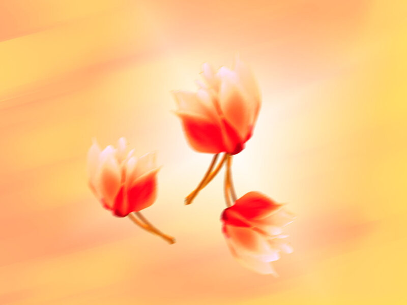 Three Red Flowers