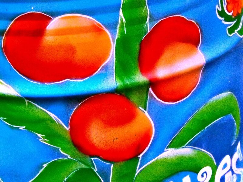 Three Red Fruits on Branch