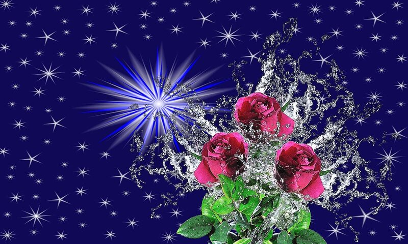 Three Red Roses — Blue