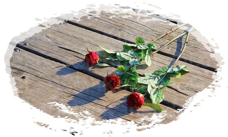Three Red Roses — Calm, Afternoon, Photograph