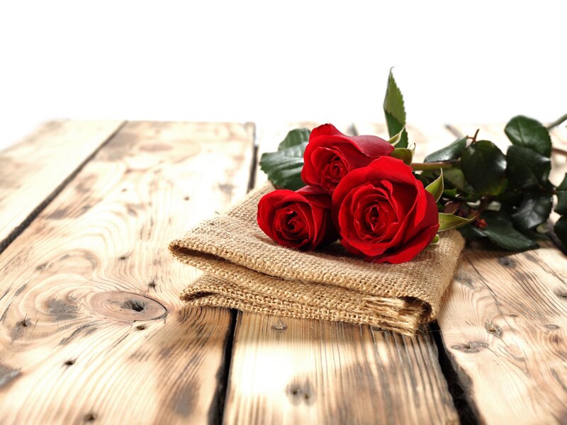 Three Red Roses — Calm, Photograph, Burlap