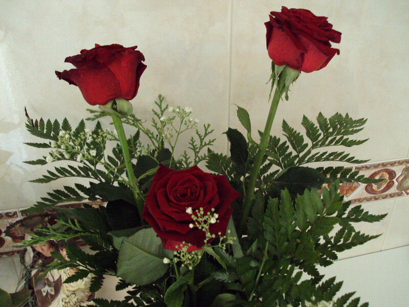 Three Red Roses — Calm, Photograph, Green Leaves