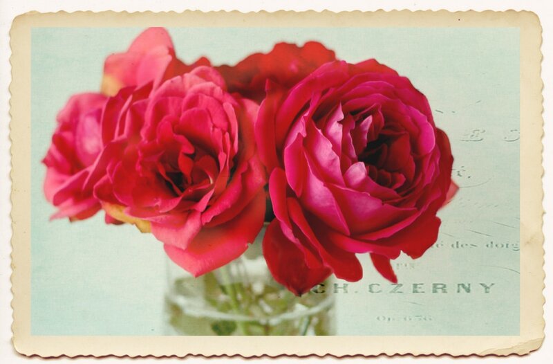 Three Red Roses — Calm, Photograph, Vase, Text