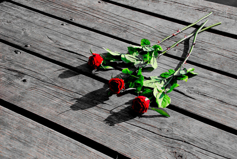 Three Red Roses — Dramatic, Afternoon