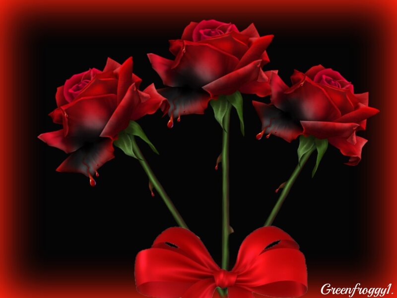 Three Red Roses — Dramatic, Digital Art, Bow