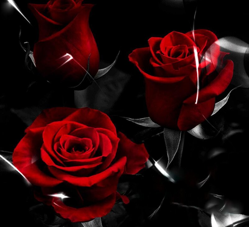 Three Red Roses — Dramatic, Digital Art