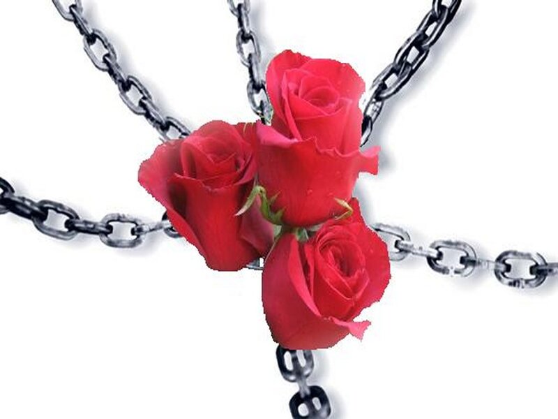 Three Red Roses — Dramatic, Photograph, Chains