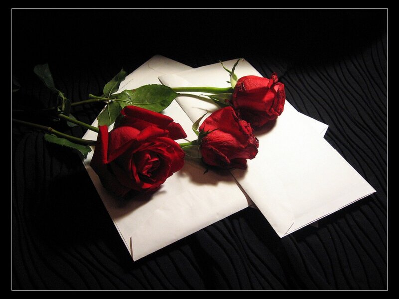 Three Red Roses — Dramatic, Photograph, Envelopes