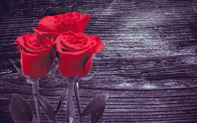 Three Red Roses — Dramatic, Photograph, Wooden Surface