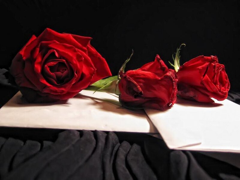 Three Red Roses — Dramatic
