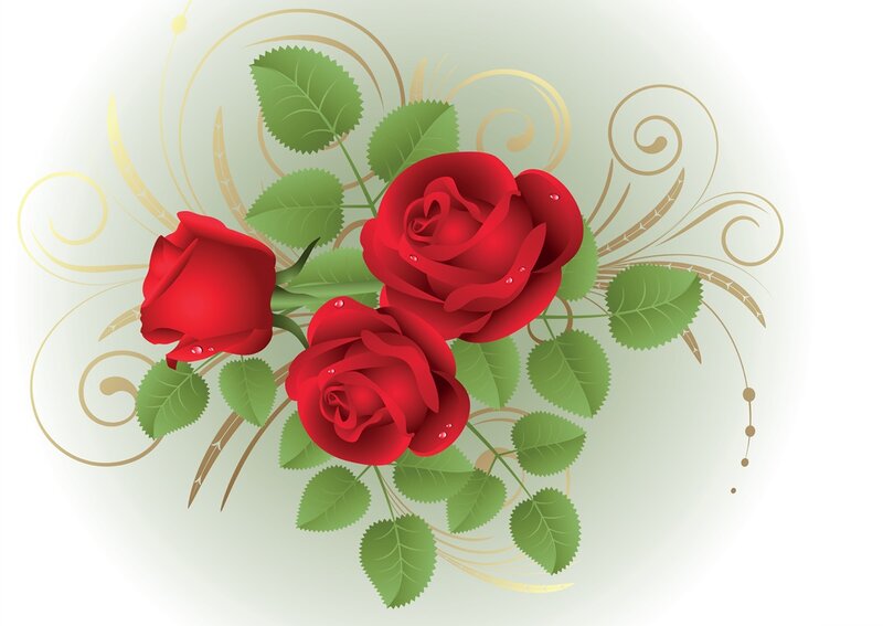 Three Red Roses — Elegant