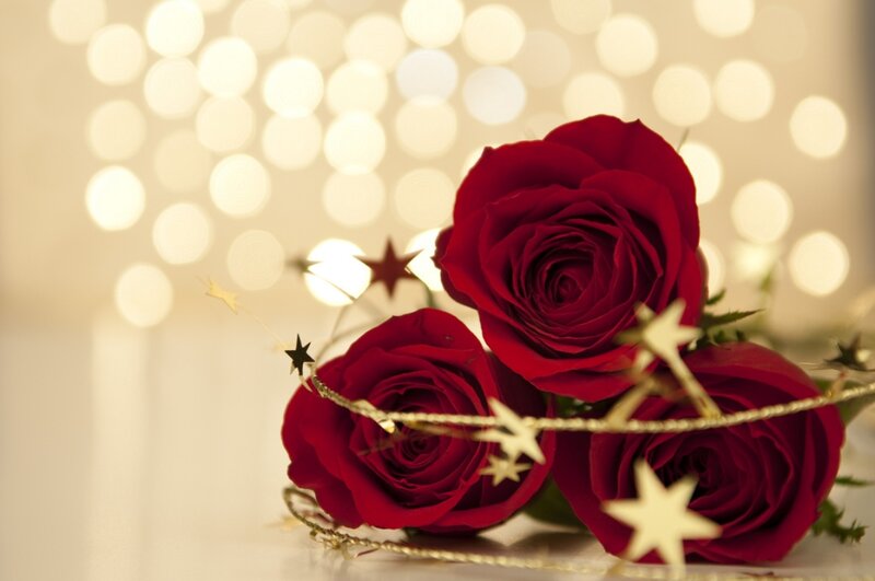 Three Red Roses — Festive, Photograph, Stars