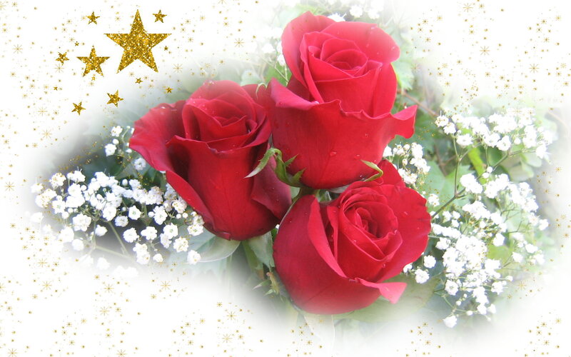 Three Red Roses — Festive, Photograph