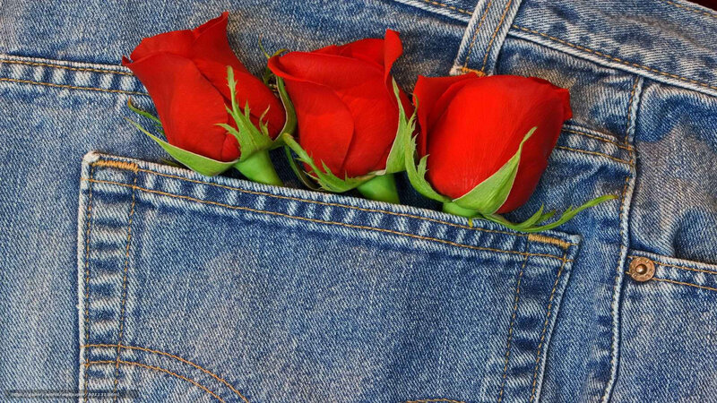 Three Red Roses in Pocket — Blue