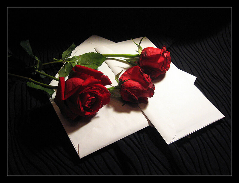 Three Red Roses on Envelopes