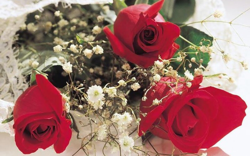 Three Red Roses — Romantic, Photograph, Baby's Breath, Lace