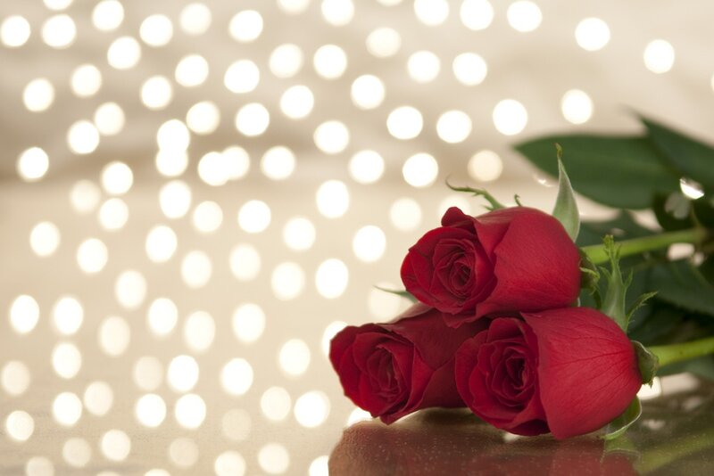 Three Red Roses — Romantic, Photograph, Green Leaves