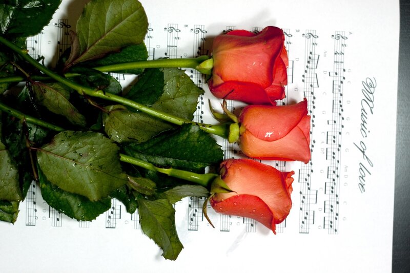 Three Red Roses — Romantic, Photograph, Sheet Music, Leaves