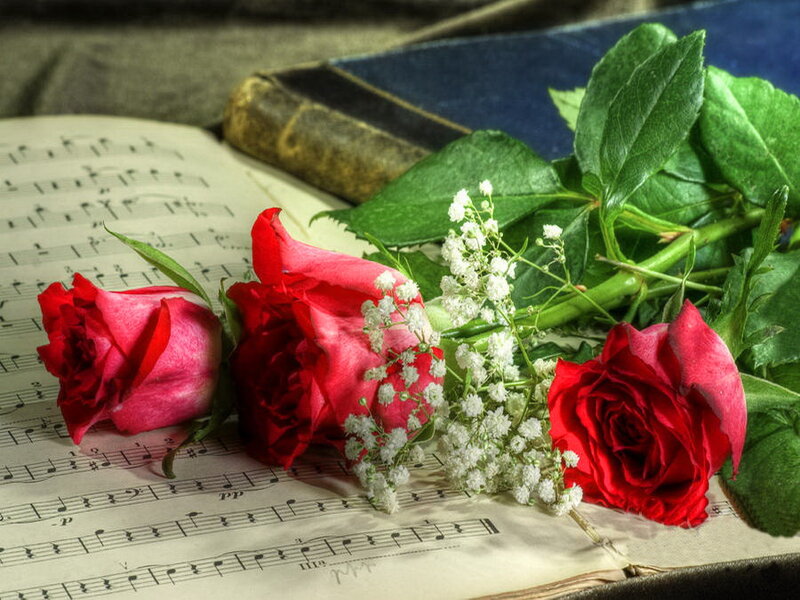 Three Red Roses — Romantic, Photograph, Sheet Music