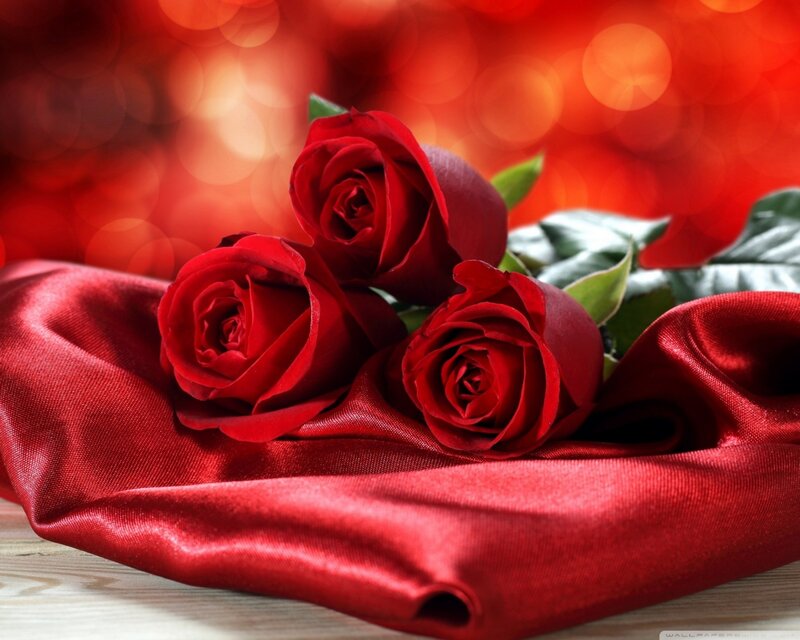 Three Red Roses — Romantic, Photograph, Silk Fabric, Leaves