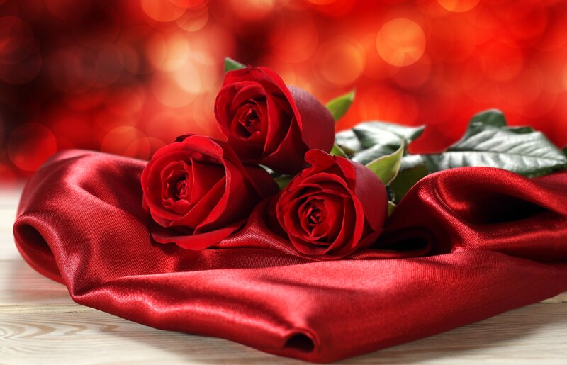Three Red Roses — Romantic, Photograph, Silk Fabric
