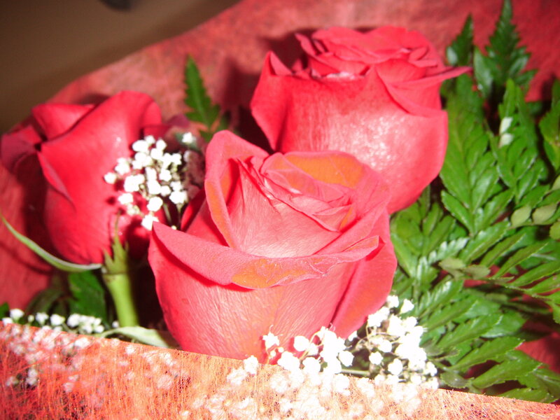 Three Red Roses — Romantic, Photograph