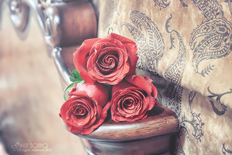 Three Red Roses — Romantic, Photograph, Wooden Armrest