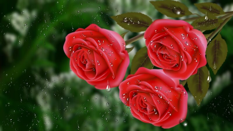 Three Red Roses — Serene, Digital Art