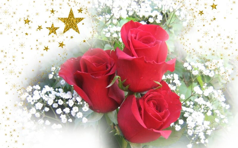 Three Red Roses