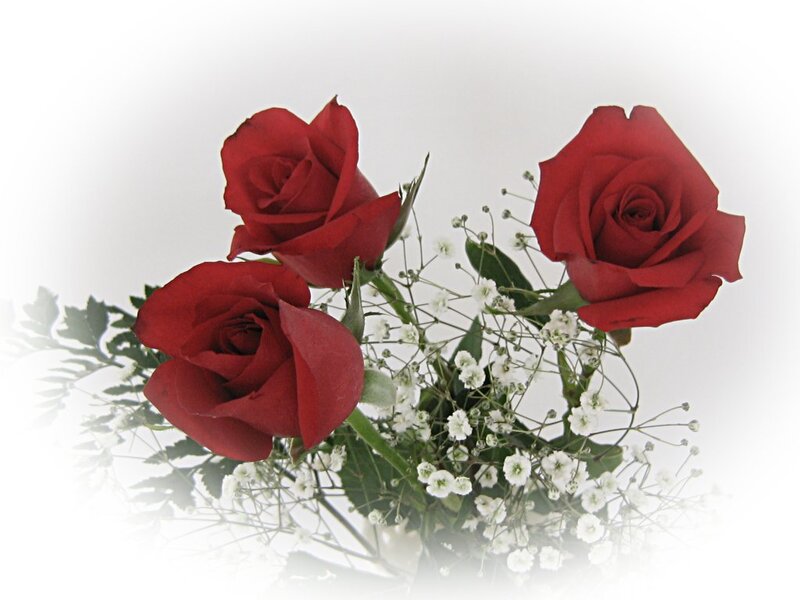 three red roses with baby's breath