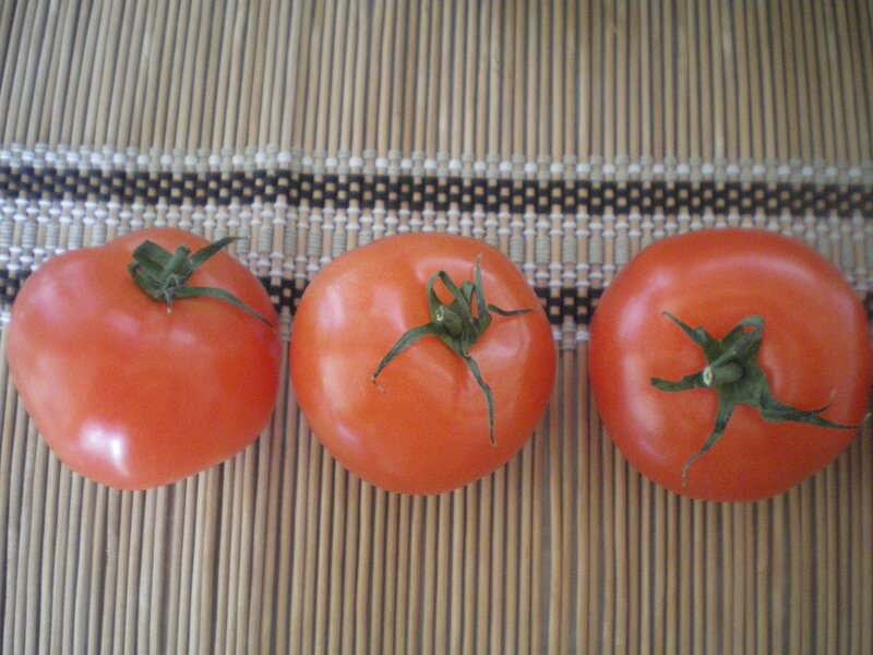 Three Red Tomatoes — Neutral