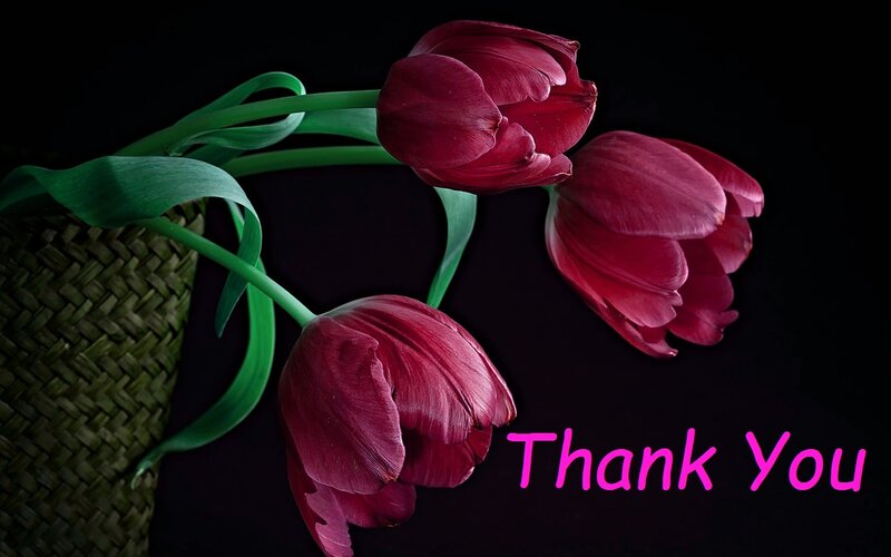 Three Red Tulips — Dramatic, Photograph, Green Leaves, Woven Basket