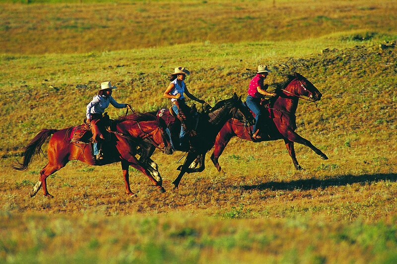 Three Riders on Horses — Brown, Active