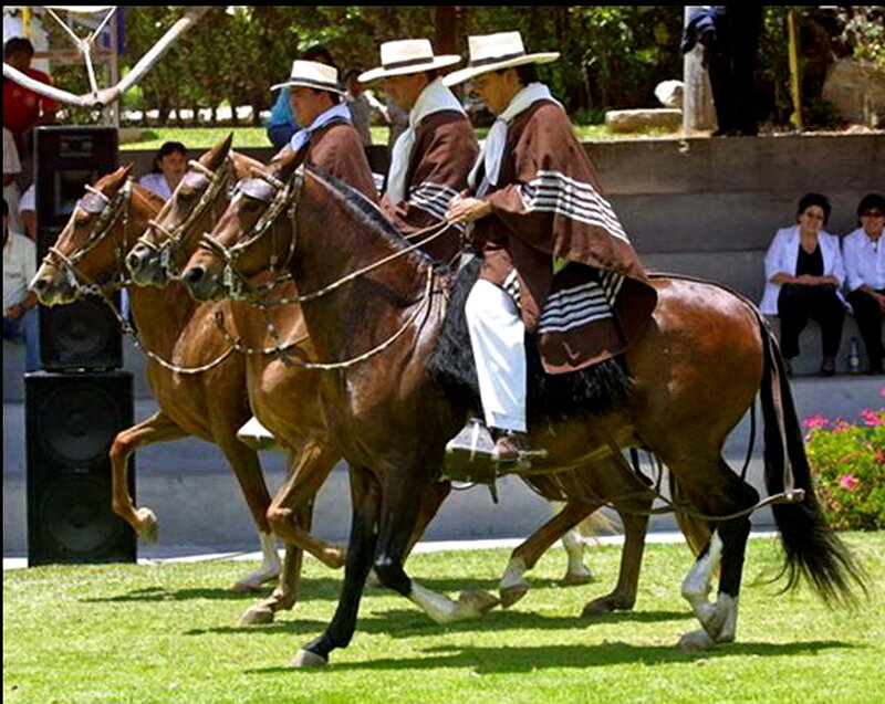 Three Riders on Horses — Brown