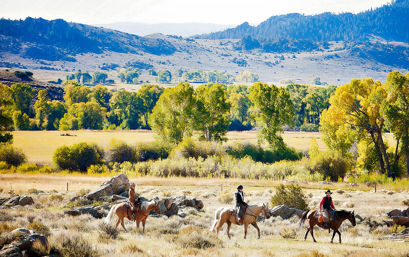 Three Riders on Horses — Green, Serene