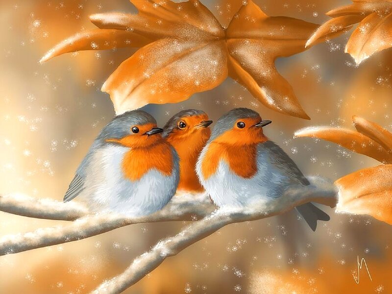 Three Robins on Branch