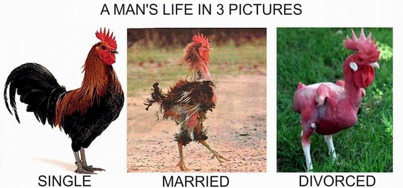 Three Roosters in Different States