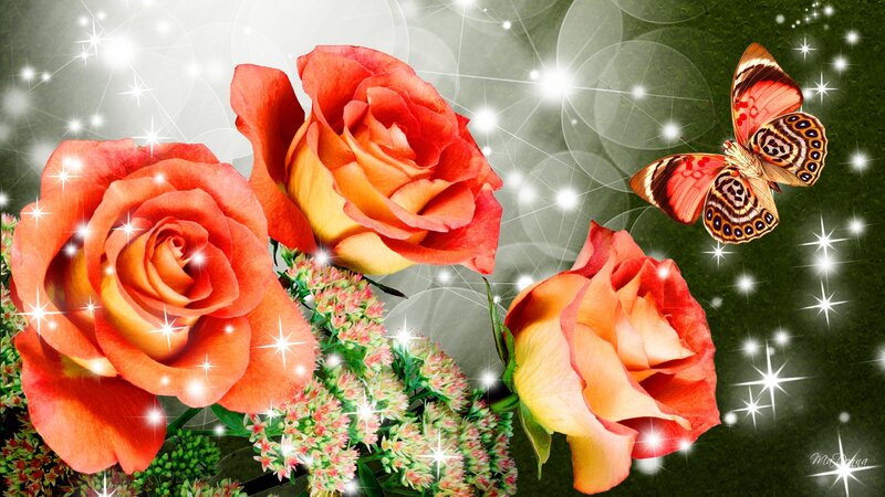 Three Roses and a Butterfly