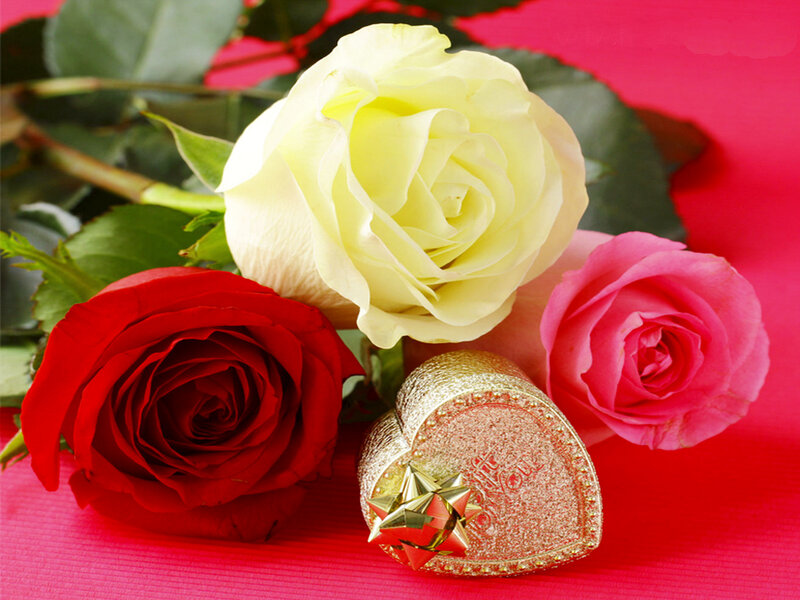 Three Roses and a Gift Box