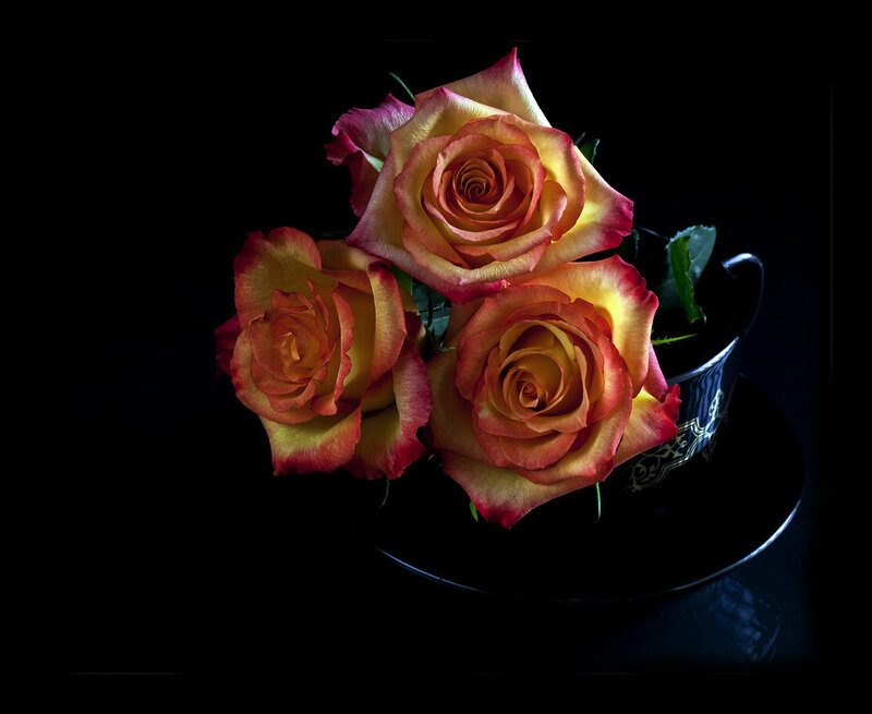 Three Roses in a Cup — Yellow