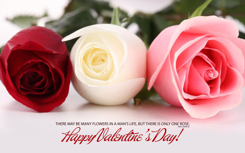 Three Roses in a Row — Red, Romantic