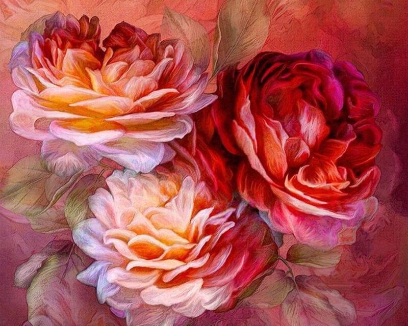Three Roses in Bloom — Red, Warm
