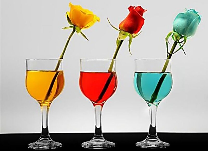 Three Roses in Glasses