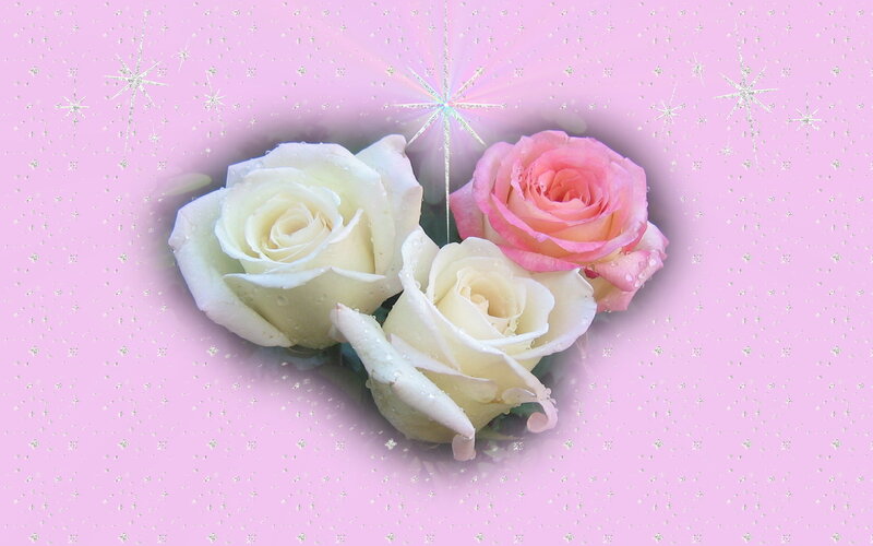 Three Roses in Heart Shape