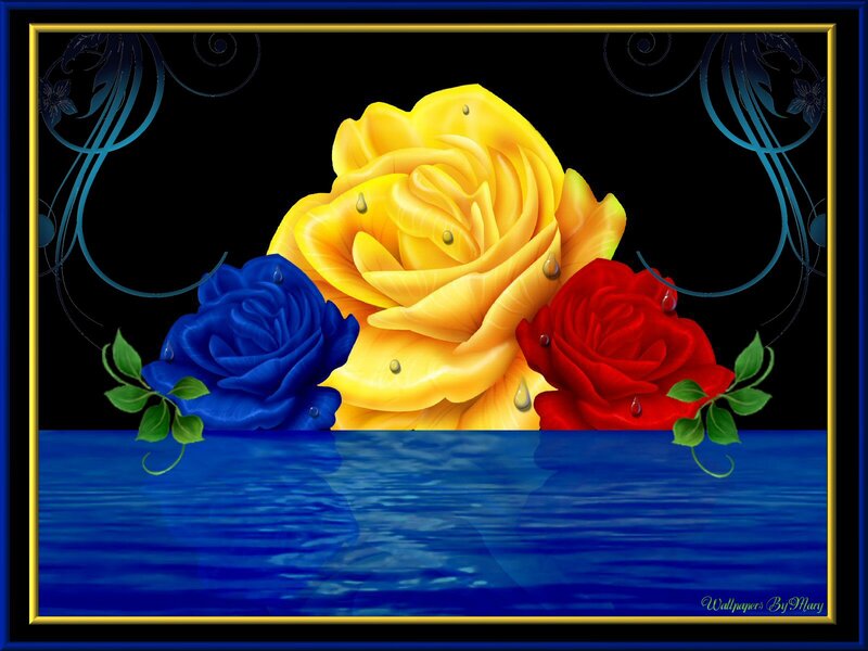 Three Roses in Water