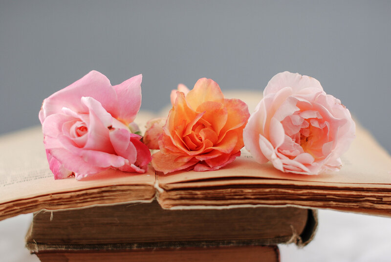 Three Roses on Book — Pink